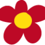 rote-blume.png
